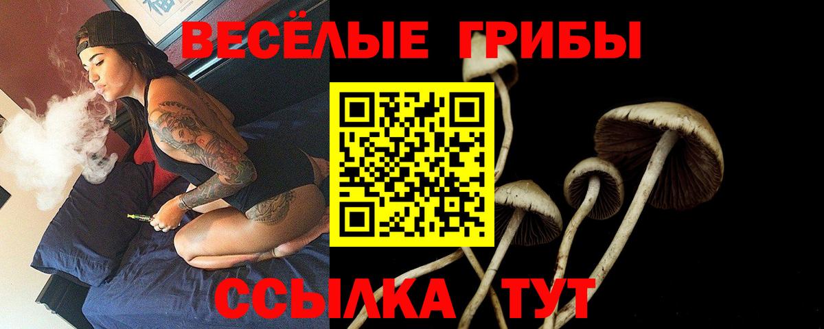 Псилоцибиновые грибы MAGIC MUSHROOMS Уварово